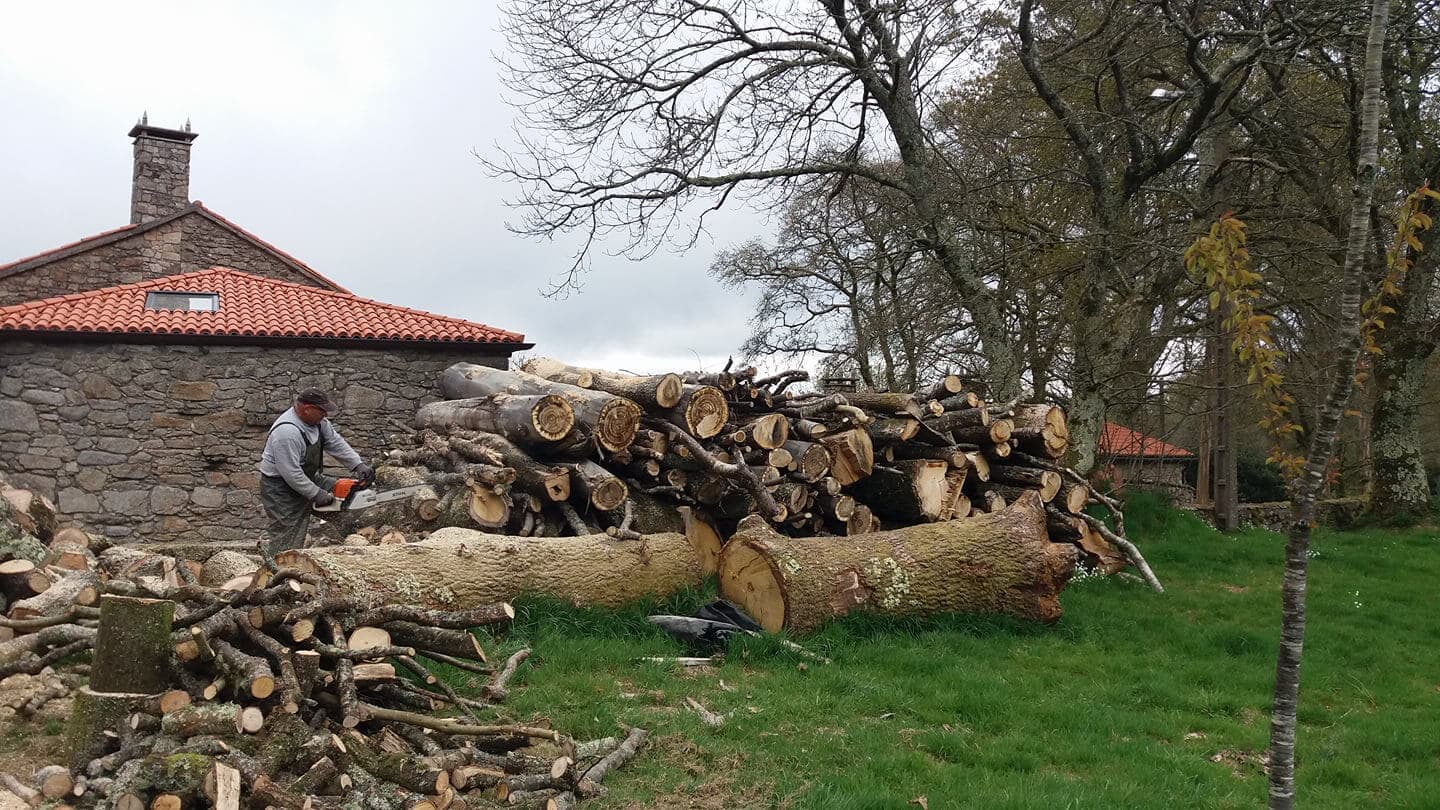 Especialistas en trabajos de jardinería y forestales