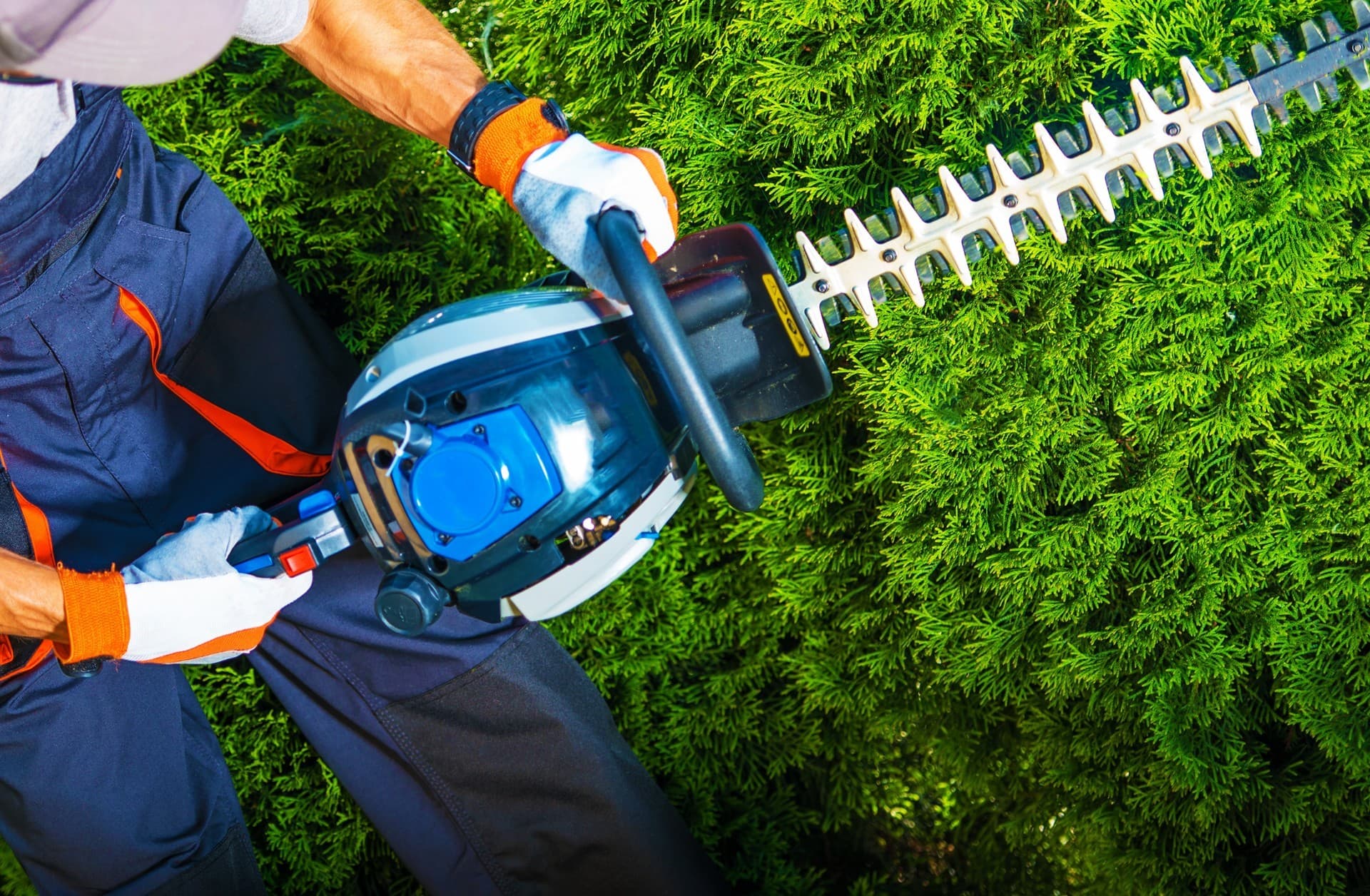 Servicios de jardinería en Betanzos
