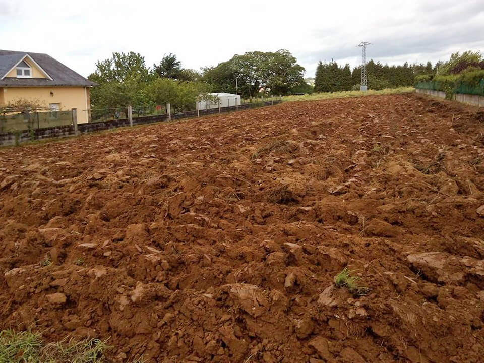 Trabajos de jardinería en Betanzos