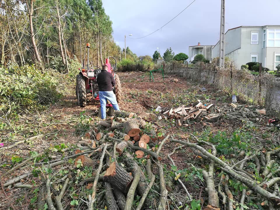 Trabajos de jardinería en Betanzos