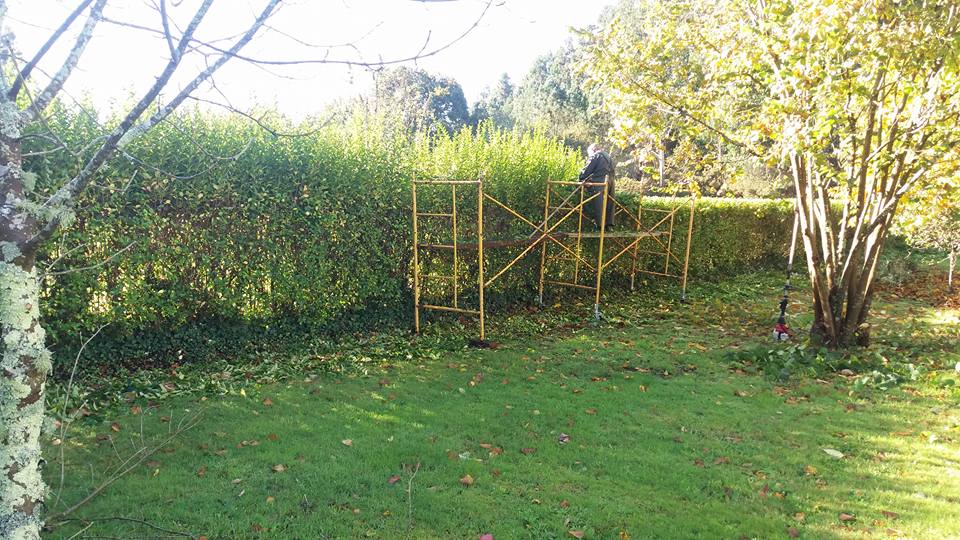 Trabajos de jardinería en Betanzos