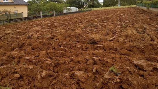 Agrícolas y Forestales MG