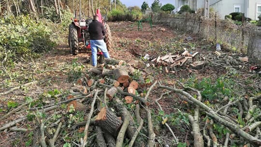 Agrícolas y Forestales MG